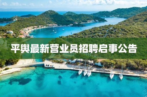 平舆最新营业员招聘启事公告