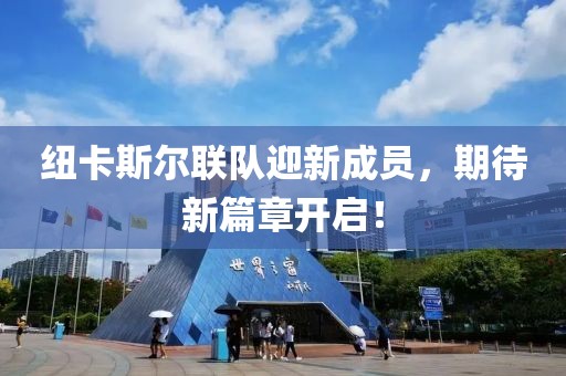 纽卡斯尔联队迎新成员，期待新篇章开启！