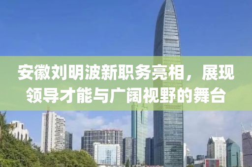 安徽刘明波新职务亮相，展现领导才能与广阔视野的舞台