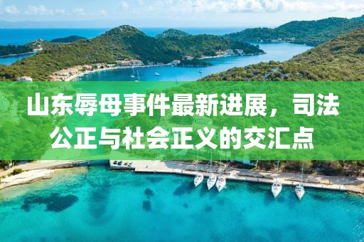 山东辱母事件最新进展，司法公正与社会正义的交汇点