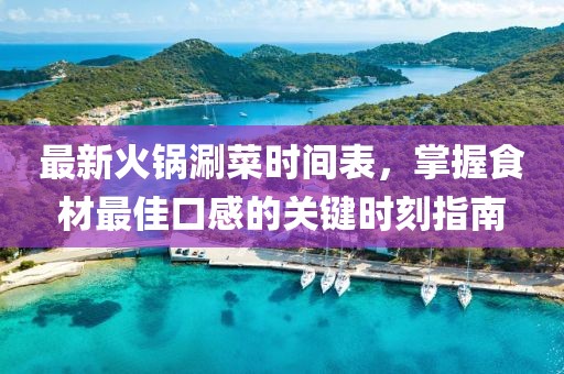 最新火锅涮菜时间表，掌握食材最佳口感的关键时刻指南