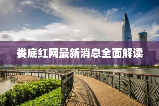 娄底红网最新消息全面解读