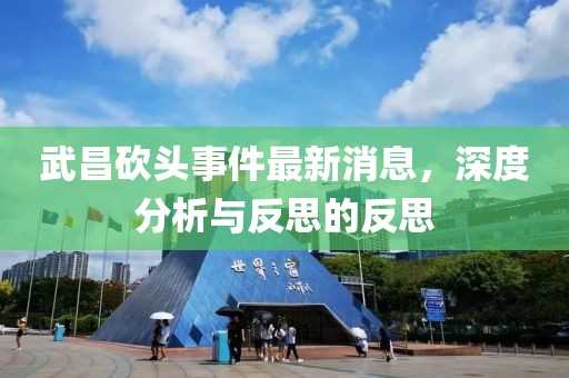 武昌砍头事件最新消息，深度分析与反思的反思