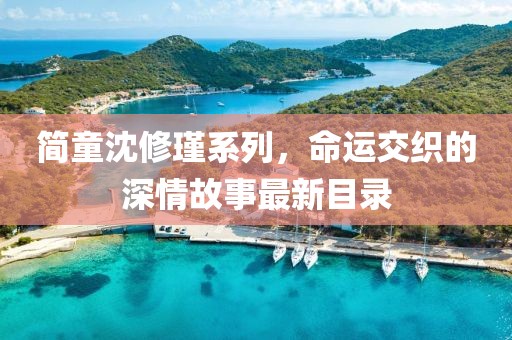 简童沈修瑾系列，命运交织的深情故事最新目录