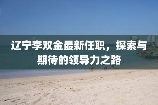 辽宁李双金最新任职，探索与期待的领导力之路