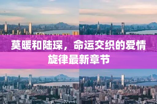 莫暖和陆琛，命运交织的爱情旋律最新章节