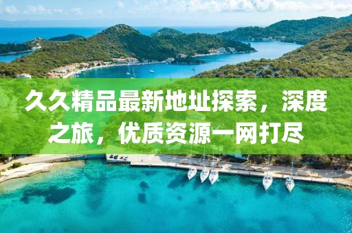 久久精品最新地址探索，深度之旅，优质资源一网打尽