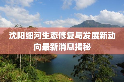 沈阳细河生态修复与发展新动向最新消息揭秘