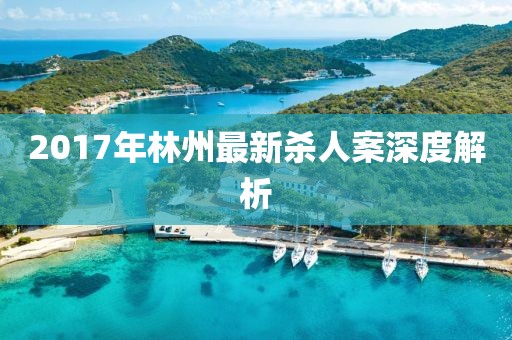 2017年林州最新杀人案深度解析