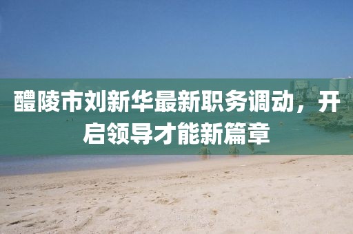 醴陵市刘新华最新职务调动，开启领导才能新篇章