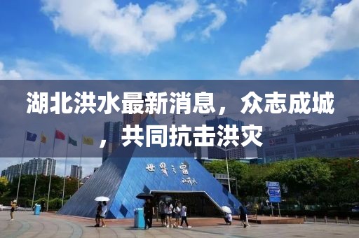 湖北洪水最新消息，众志成城，共同抗击洪灾
