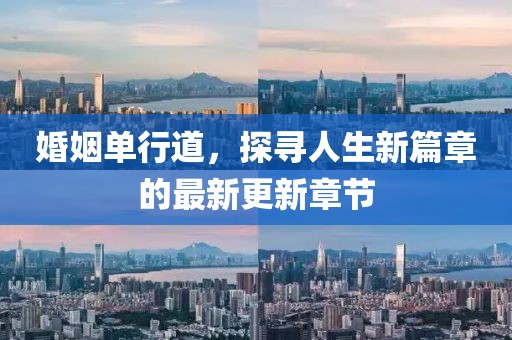 婚姻单行道，探寻人生新篇章的最新更新章节