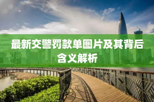 最新交警罚款单图片及其背后含义解析
