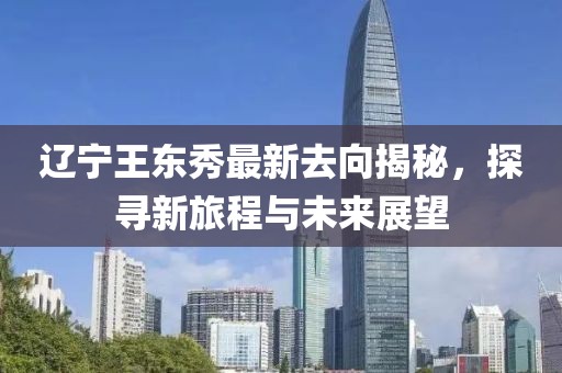 辽宁王东秀最新去向揭秘，探寻新旅程与未来展望