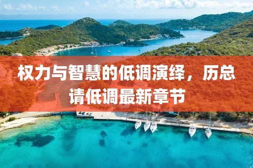 权力与智慧的低调演绎，历总请低调最新章节