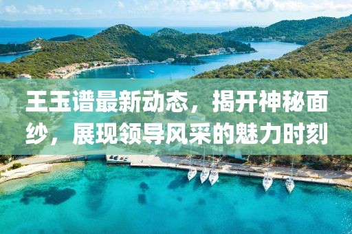 王玉谱最新动态，揭开神秘面纱，展现领导风采的魅力时刻