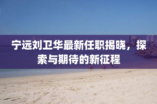 宁远刘卫华最新任职揭晓，探索与期待的新征程