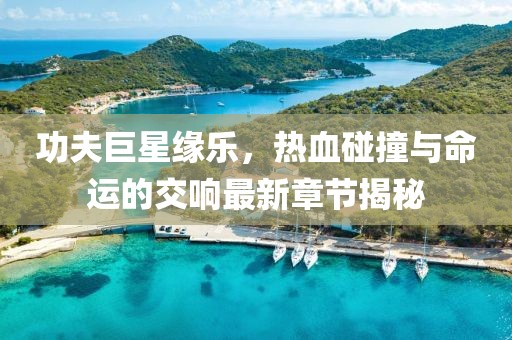 功夫巨星缘乐，热血碰撞与命运的交响最新章节揭秘