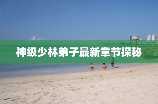 神级少林弟子最新章节探秘