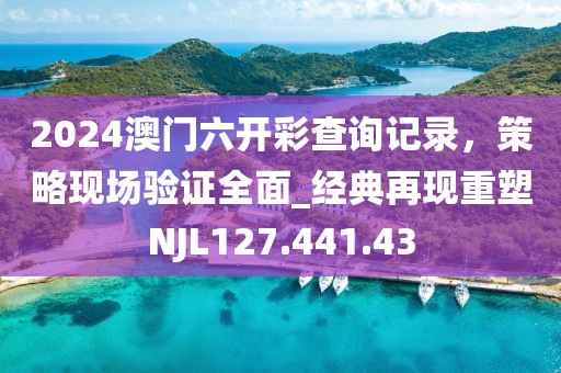 2024澳门六开彩查询记录，策略现场验证全面_经典再现重塑NJL127.441.43