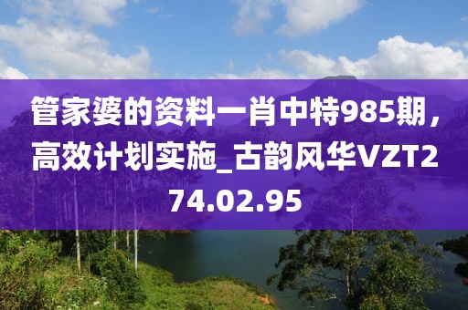 管家婆的资料一肖中特985期，高效计划实施_古韵风华VZT274.02.95