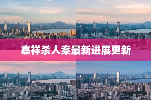 嘉祥杀人案最新进展更新