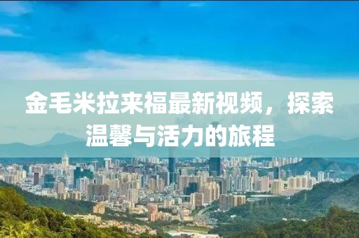 金毛米拉来福最新视频，探索温馨与活力的旅程