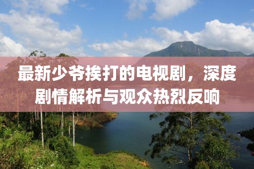 最新少爷挨打的电视剧，深度剧情解析与观众热烈反响