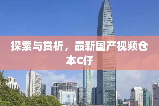 探索与赏析，最新国产视频仓本C仔