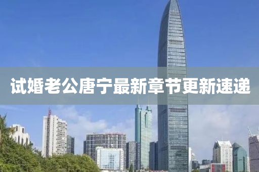 试婚老公唐宁最新章节更新速递