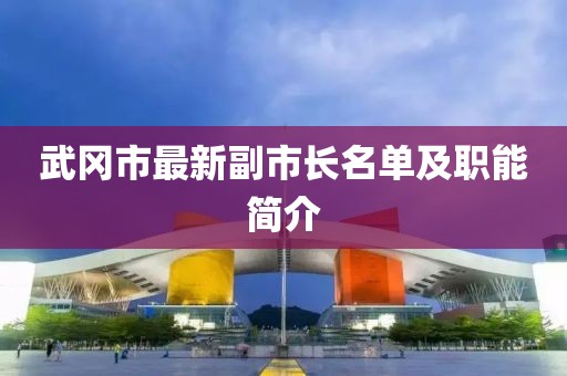 武冈市最新副市长名单及职能简介