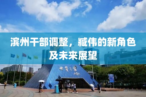 滨州干部调整，臧伟的新角色及未来展望