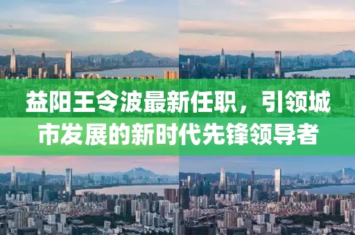 益阳王令波最新任职，引领城市发展的新时代先锋领导者
