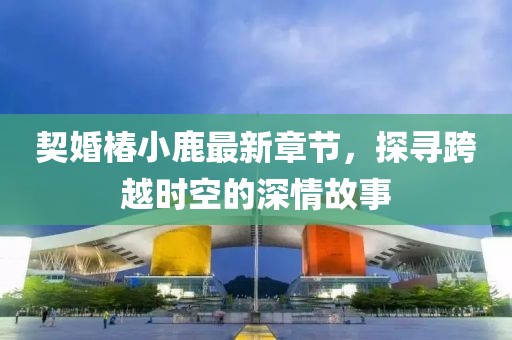 契婚椿小鹿最新章节，探寻跨越时空的深情故事