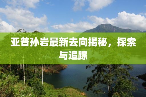亚普孙岩最新去向揭秘，探索与追踪