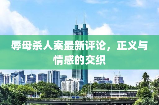 辱母杀人案最新评论，正义与情感的交织