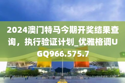 2024澳门特马今期开奖结果查询，执行验证计划_优雅格调UGQ966.575.7