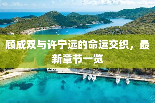 顾成双与许宁远的命运交织，最新章节一览