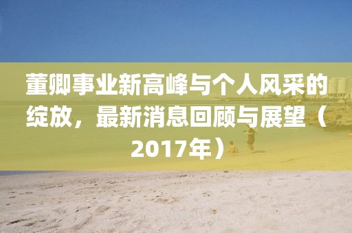 董卿事业新高峰与个人风采的绽放，最新消息回顾与展望（2017年）