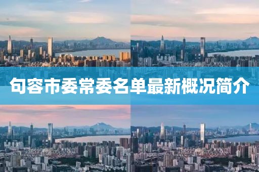 句容市委常委名单最新概况简介