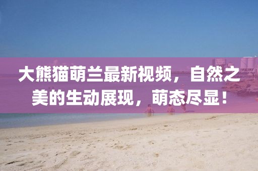 大熊猫萌兰最新视频，自然之美的生动展现，萌态尽显！