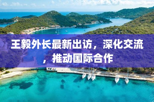 王毅外长最新出访，深化交流，推动国际合作