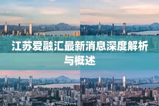 江苏爱融汇最新消息深度解析与概述