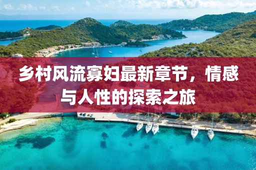 乡村风流寡妇最新章节，情感与人性的探索之旅