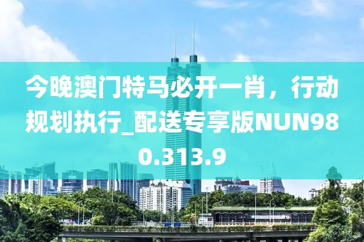 今晚澳门特马必开一肖，行动规划执行_配送专享版NUN980.313.9