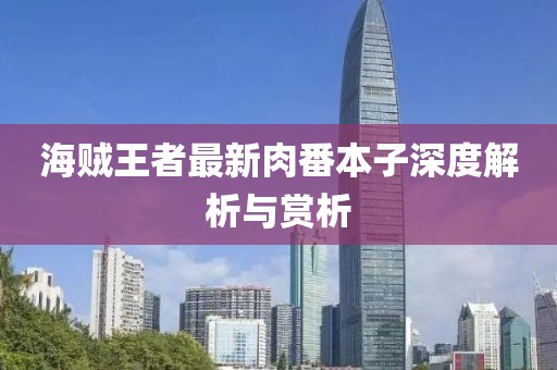 海贼王者最新肉番本子深度解析与赏析