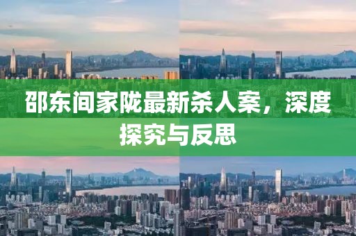 邵东间家陇最新杀人案，深度探究与反思