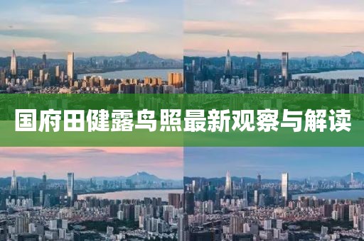 国府田健露鸟照最新观察与解读