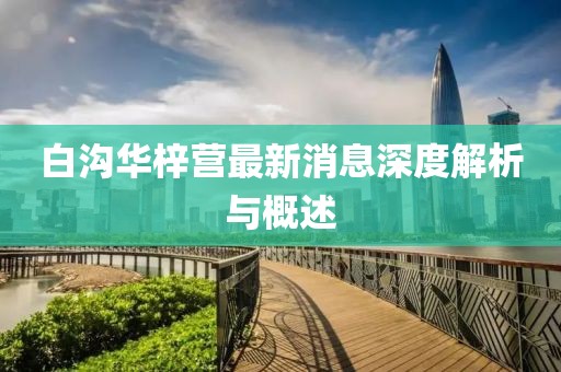 白沟华梓营最新消息深度解析与概述