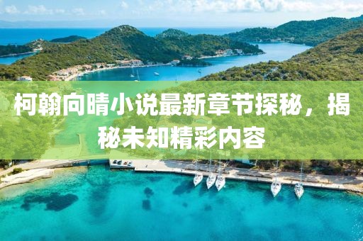 柯翰向晴小说最新章节探秘，揭秘未知精彩内容
